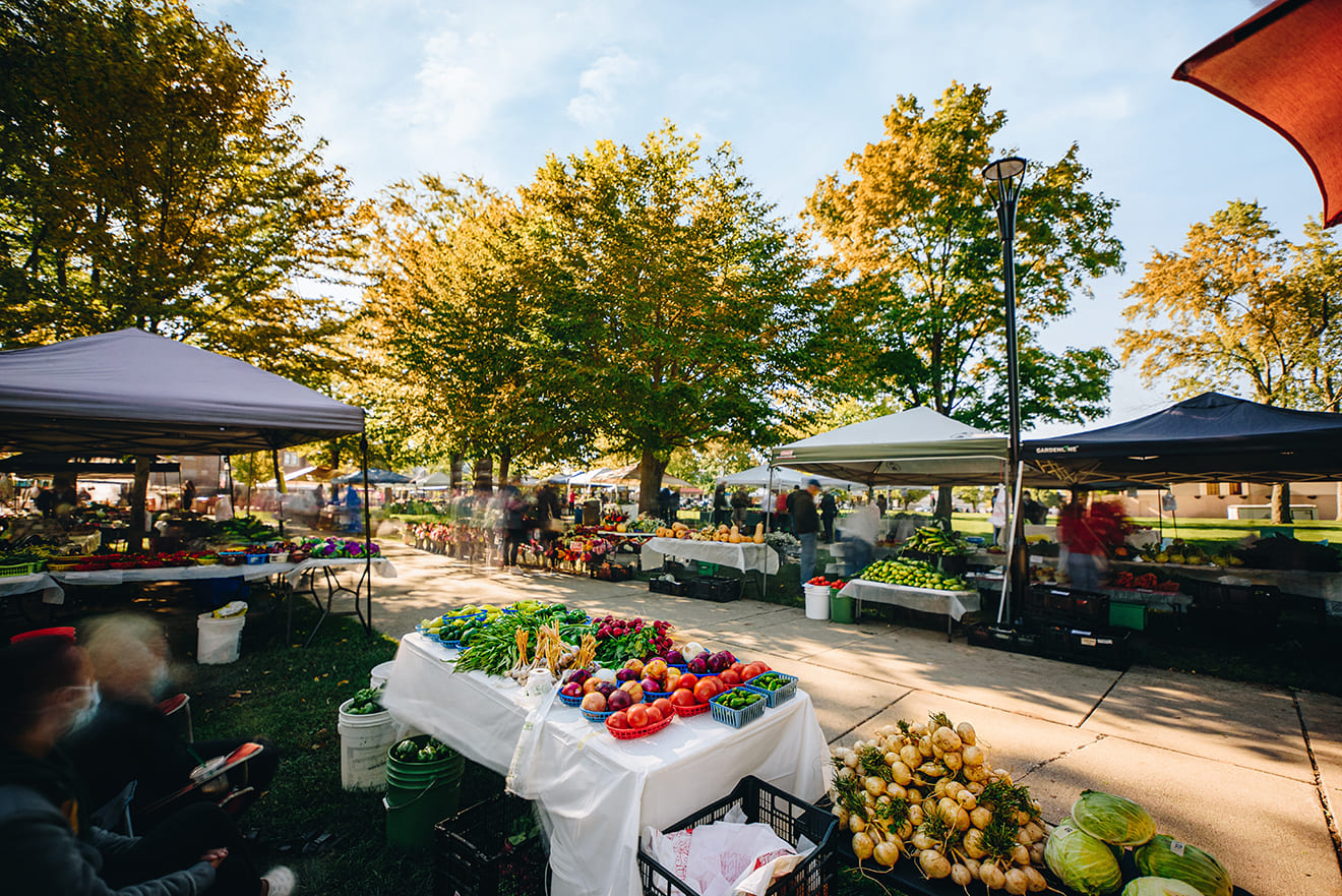 WELLNESS STREET